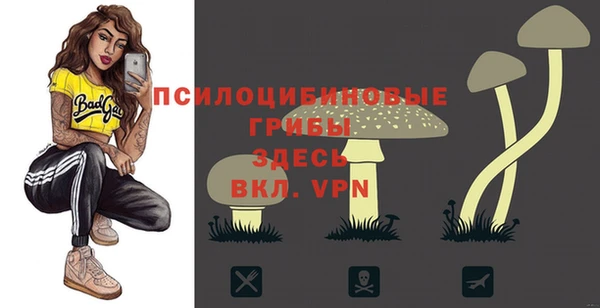 твердый Лихославль