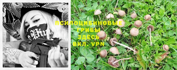 соль курить ск Лиски