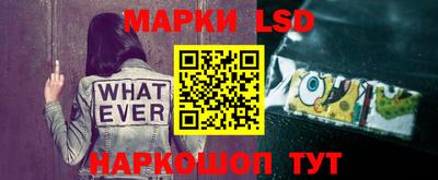 стафф Бугуруслан