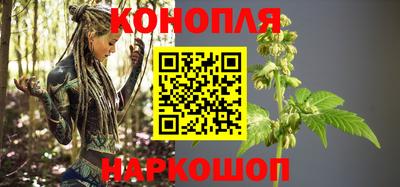 крисы Будённовск