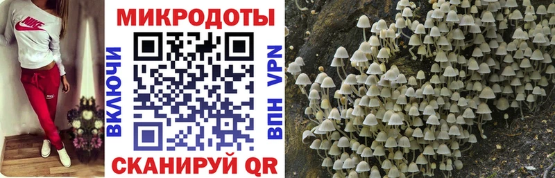 ссылка на мегу зеркало  Дмитров  Галлюциногенные грибы GOLDEN TEACHER 