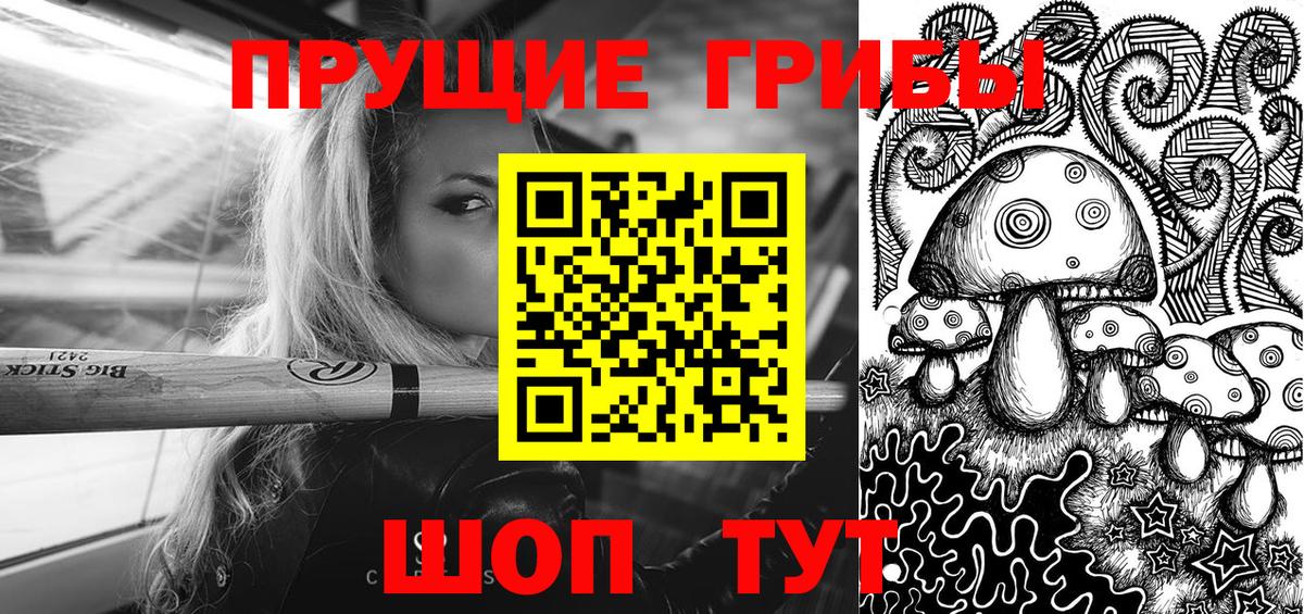 Галлюциногенные грибы Psilocybine cubensis Дмитров