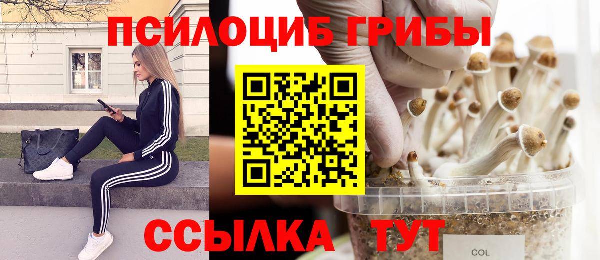 купить   Вход с VPN  Дмитров  Галлюциногенные грибы Cubensis  Псилоцибиновые грибы GOLDEN TEACHER 